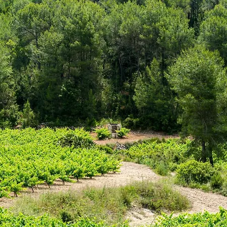 Masia Pou De La Vinya شقة *