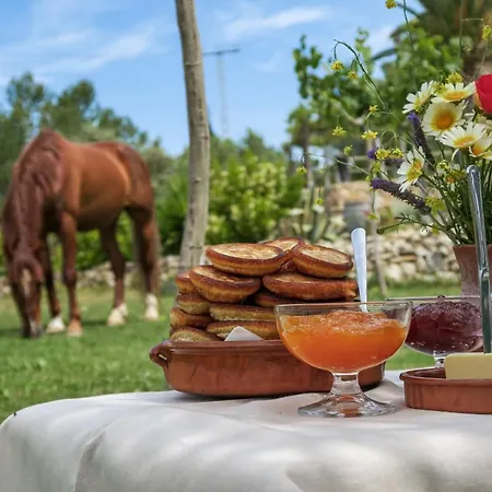 شقة Masia Pou De La Vinya سيدجيس