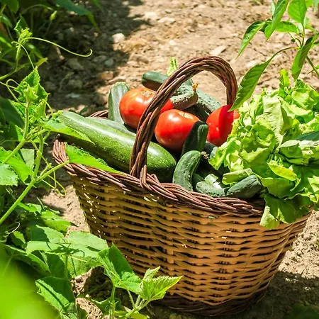 شقة Masia Pou De La Vinya *