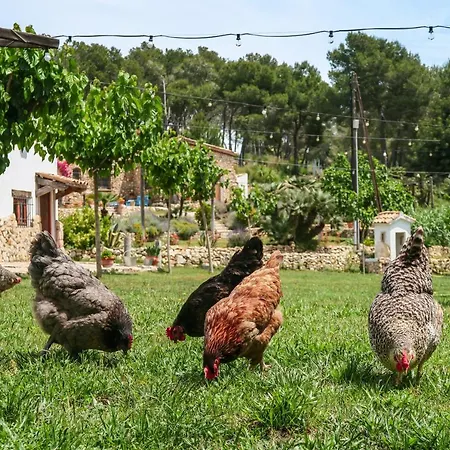 Masia Pou De La Vinya شقة سيدجيس