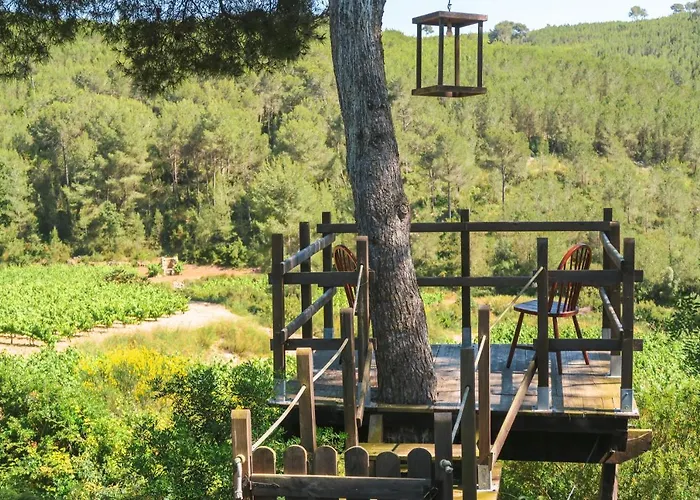 Masia Pou De La Vinya סיטגס