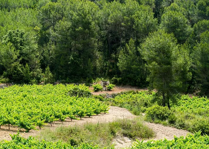 Masia Pou De La Vinya Appartamento *