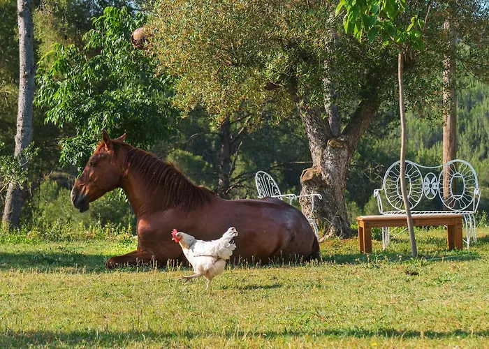 דירה Masia Pou De La Vinya סיטגס