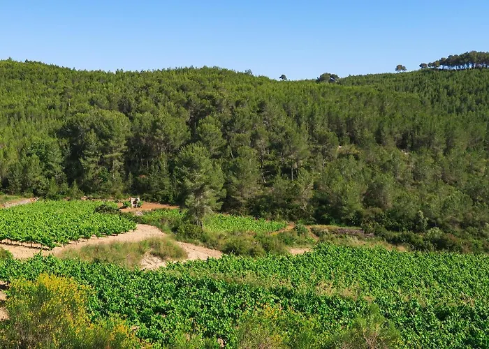 Masia Pou De La Vinya דירה