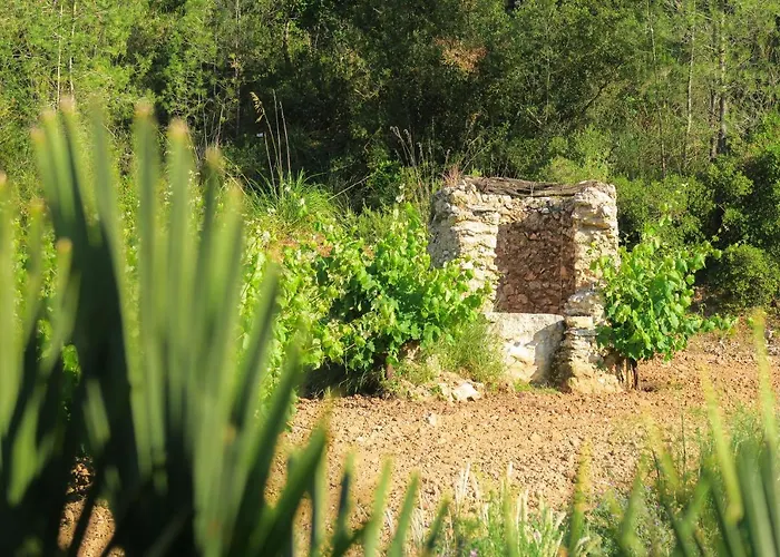 Masia Pou De La Vinya