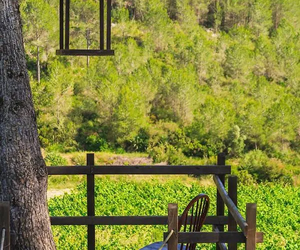 Masia Pou De La Vinya דירה