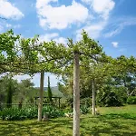 Masia Pou De La Vinya Sitges