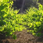 Masia Pou De La Vinya シッチェス