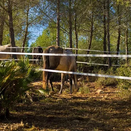 Appartement Masia Pou De La Vinya *