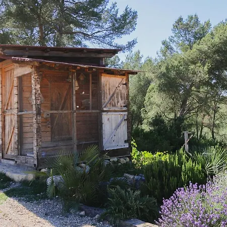 Apartament Masia Pou De La Vinya *