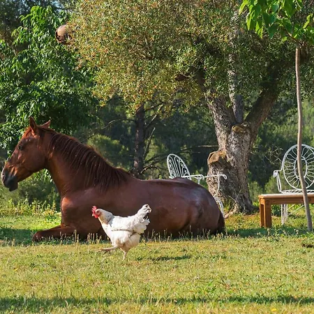 Appartement Masia Pou De La Vinya Sitges