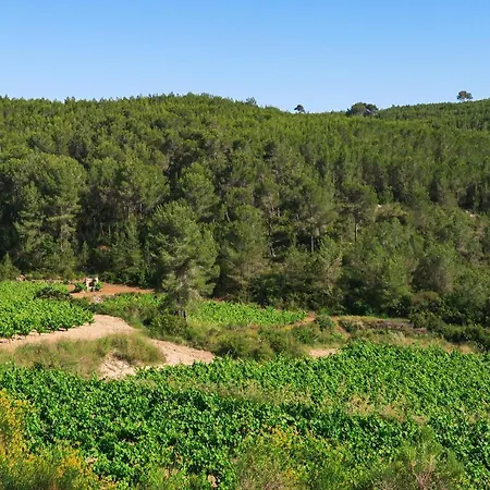 Masia Pou De La Vinya Apartament