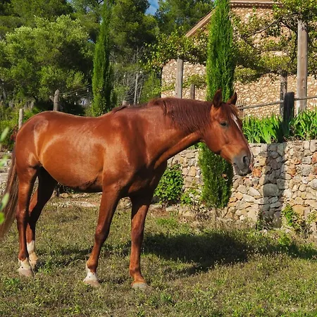Masia Pou De La Vinya Appartement Sitges