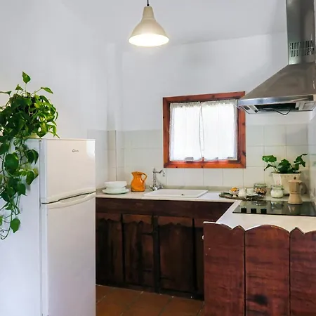 Apartament Masia Pou De La Vinya *