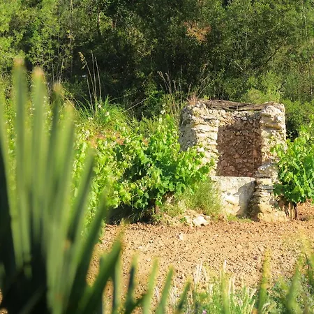 Masia Pou De La Vinya