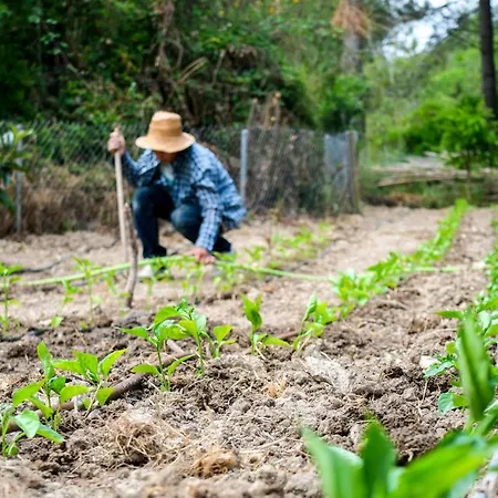 Apartament Masia Pou De La Vinya Sitges