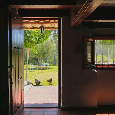 Masia Pou De La Vinya