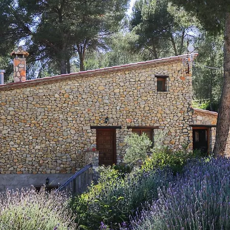 Masia Pou De La Vinya Appartement