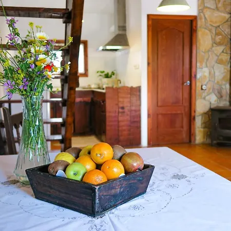 Apartament Masia Pou De La Vinya