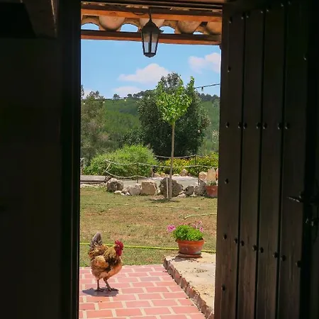 Masia Pou De La Vinya Apartament Sitges