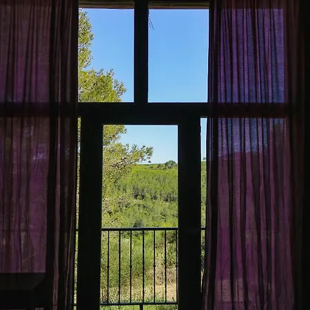 Masia Pou De La Vinya Appartement *