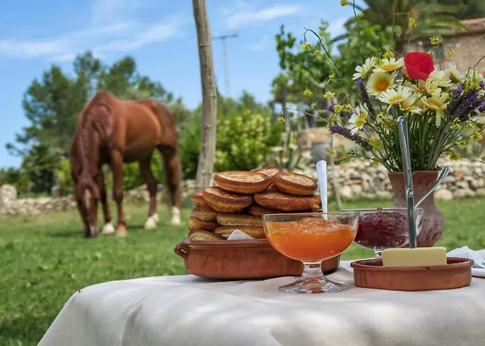 Appartement Masia Pou De La Vinya Sitges