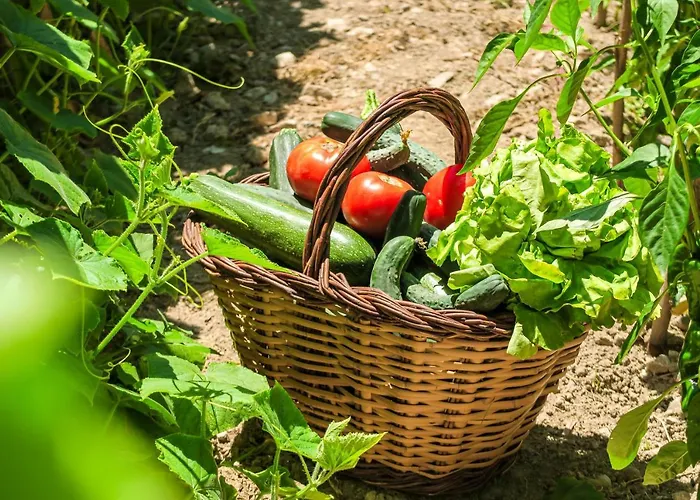 Appartement Masia Pou De La Vinya *