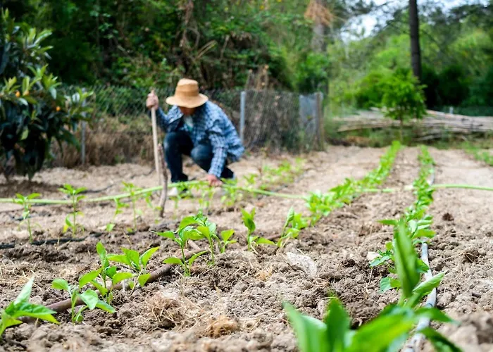 Apartament Masia Pou De La Vinya Sitges