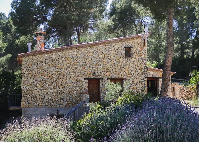 Masia Pou De La Vinya Apartamento