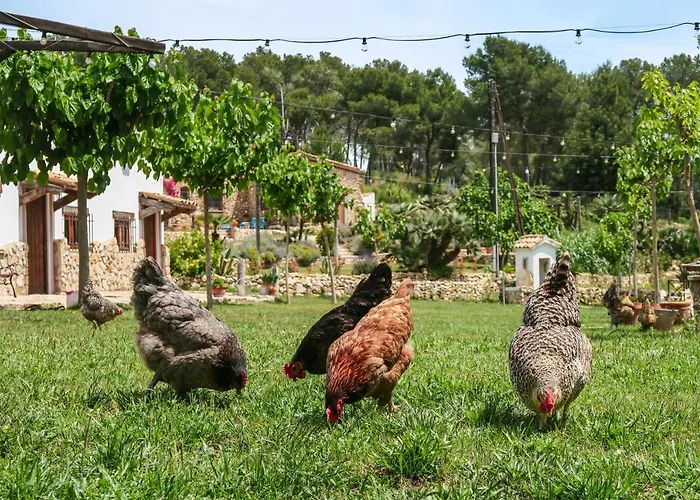 Masia Pou De La Vinya Apartamento Sitges