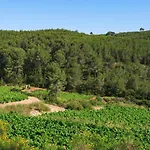 Masia Pou De La Vinya Apartment