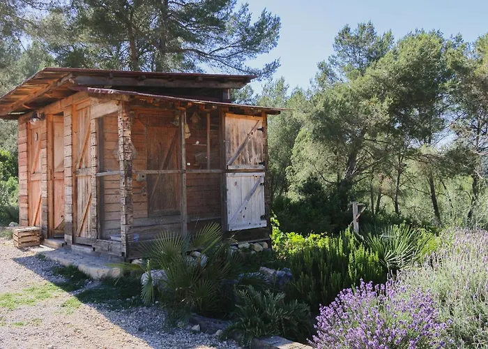 Apartman Masia Pou De La Vinya *