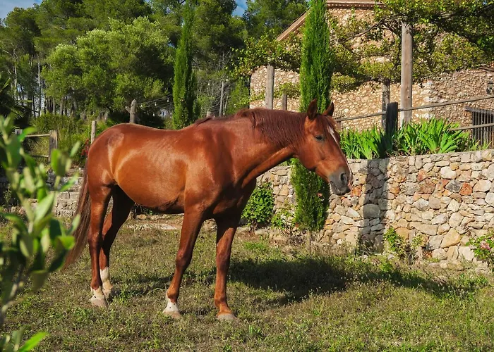 Masia Pou De La Vinya Apartman Sitges