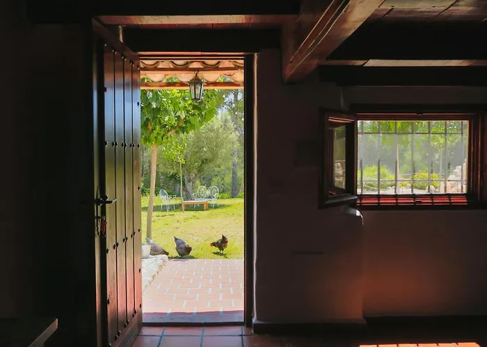 Masia Pou De La Vinya