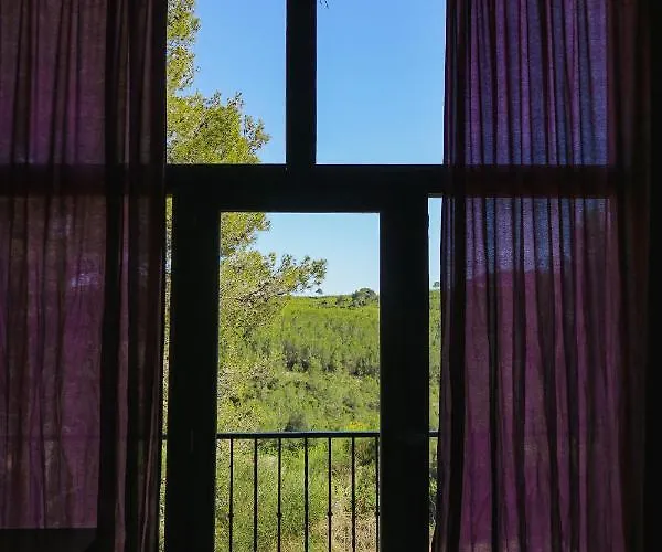 Masia Pou De La Vinya Apartman *